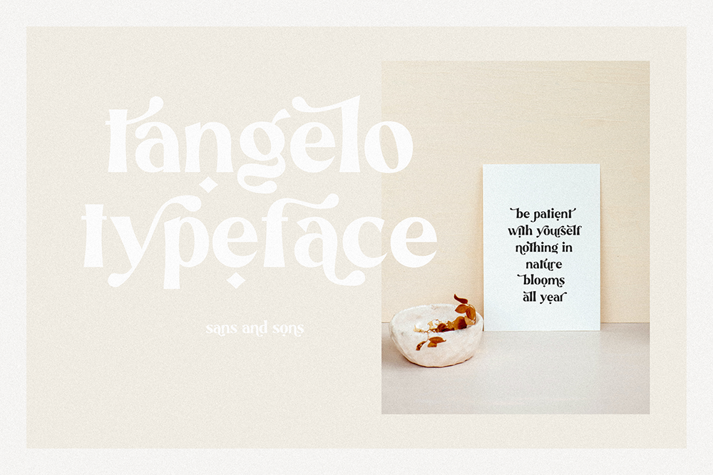 Tangelo-现代复古品牌邀请函徽标logo设计无衬线英文字体