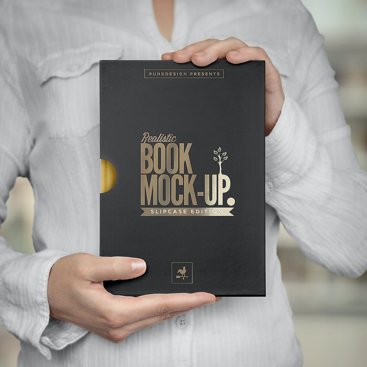 10款带书匣封套精装书籍设计展示贴图样机模板 Book Mockup Slipcase Edition