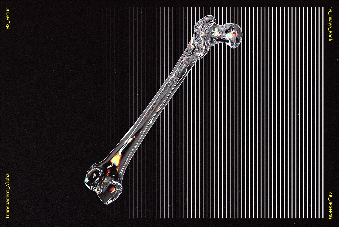 10款高清潮流炫酷3D透明玻璃水晶材质人体骨骼平面广告设计图片素材 Glass Bones Pack