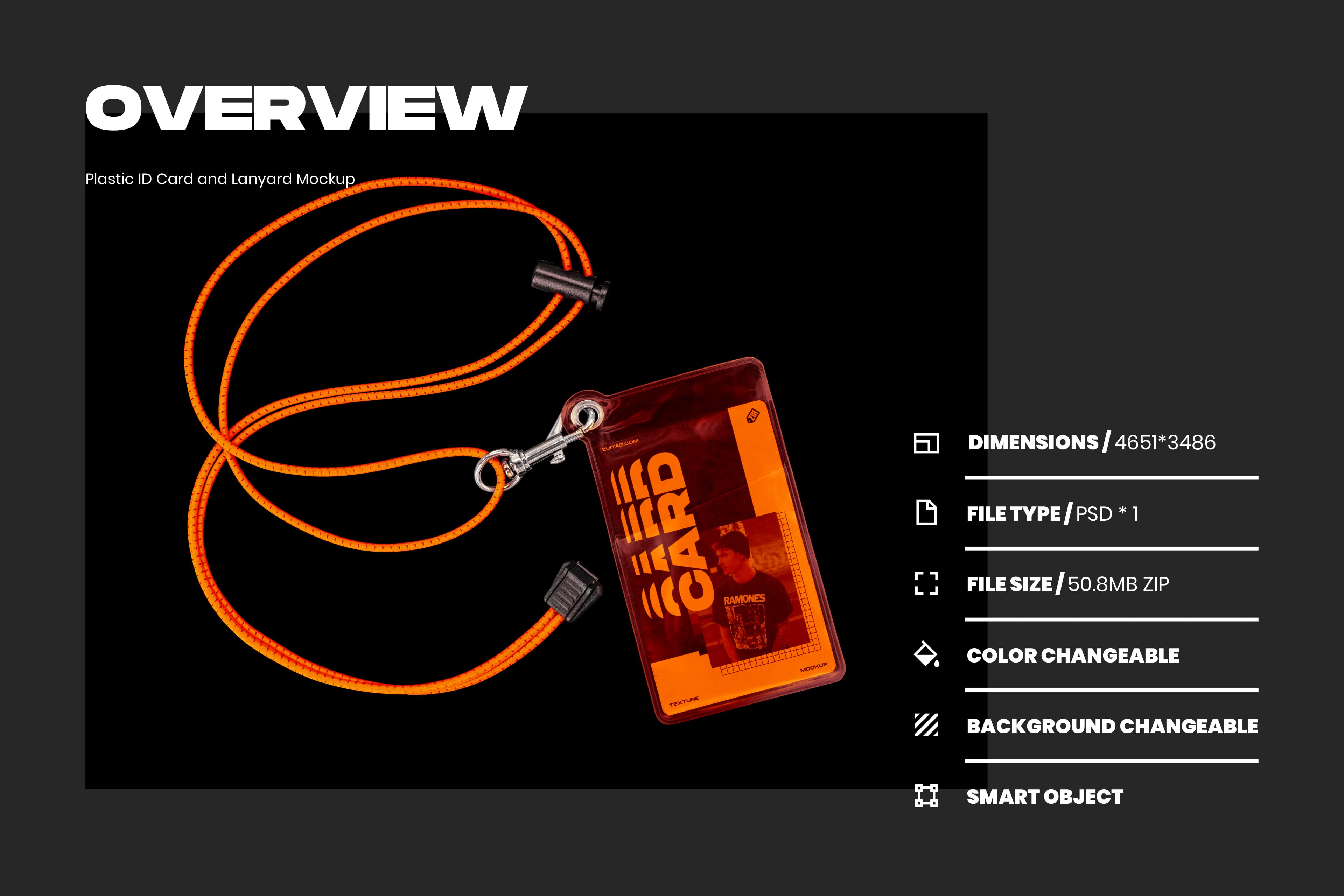 半透明塑料工作牌胸牌和挂绳的样机-PLASTIC ID CARD AND LANYARD MOCKUP