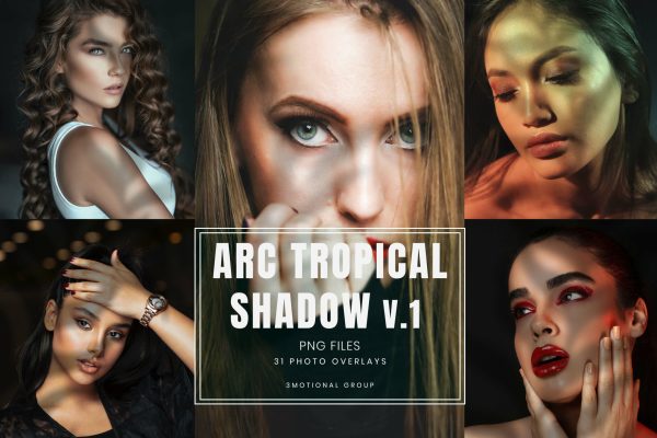 31款树叶阴影光影叠加层PNG免抠图片设计素材31 Arc Real Tropical Shadow Overlays, Photoshop Reflection