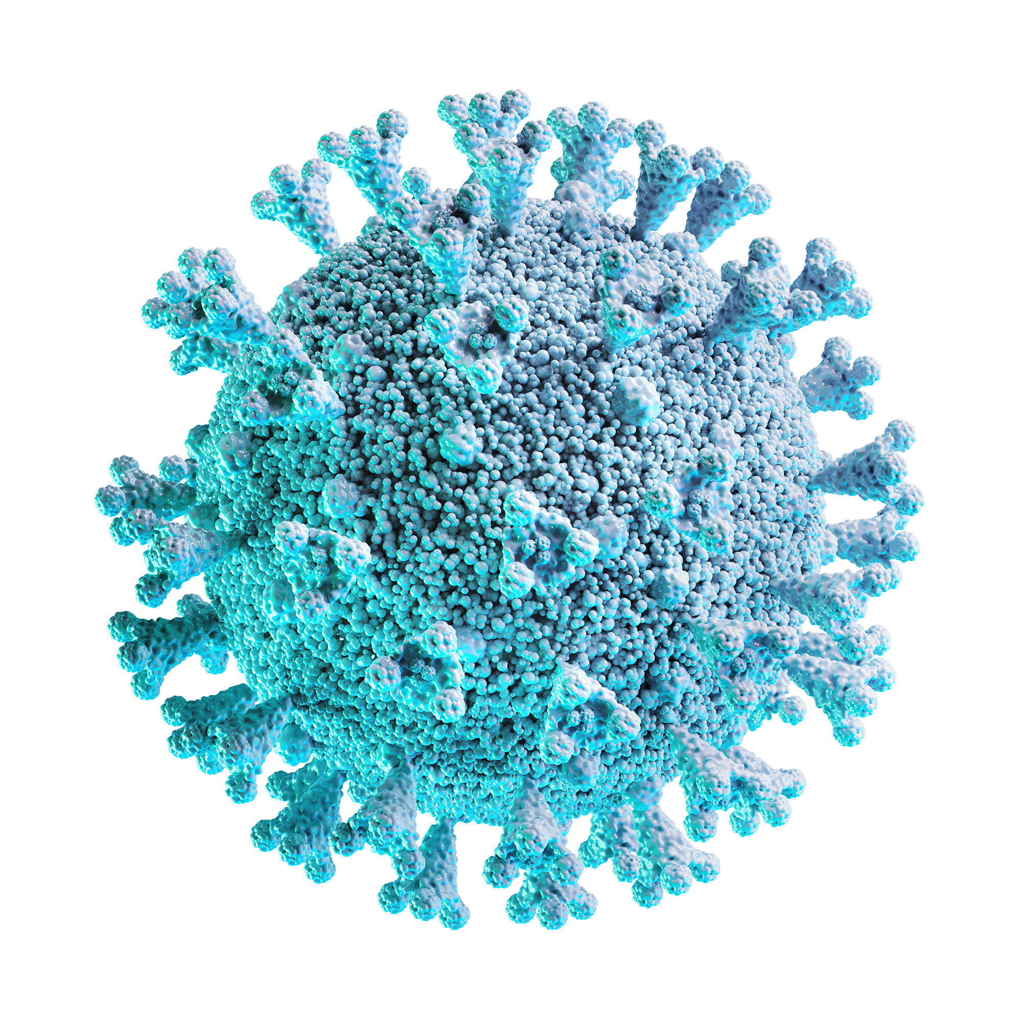 040 5款可商用冠状病毒模型素材Covid-19 Mockup