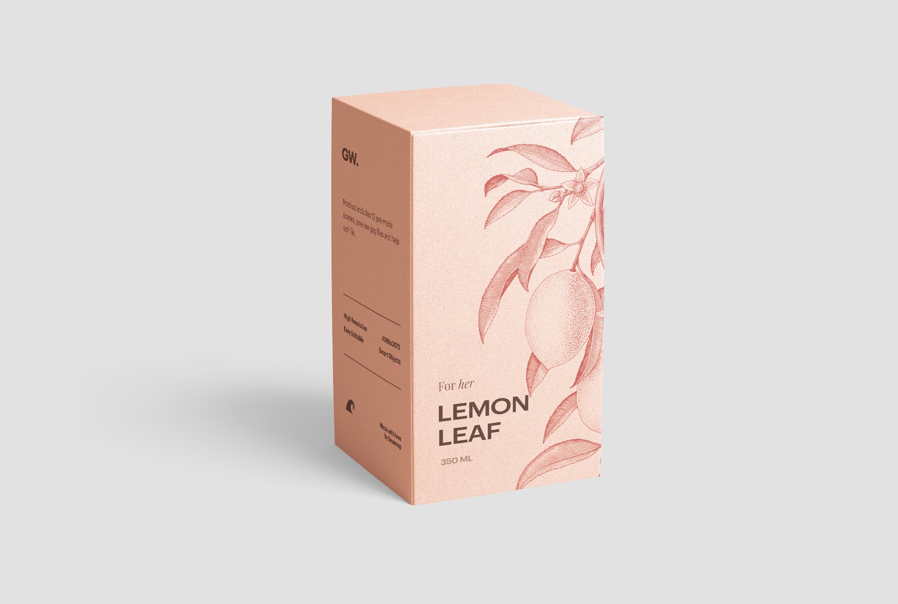 561 高质量方形化妆品香水包装盒设计预览图样机模板 Box Mockup Vol.3