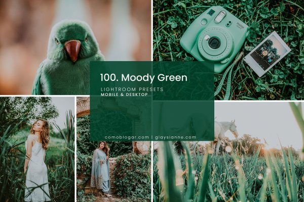 100个高级墨绿质感LR软件预设文件照片滤镜 100 Moody Green Preset