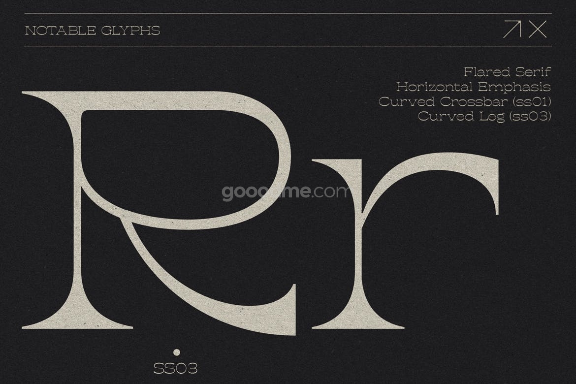 706 现代优雅海报包装标题设计衬线英文字体 Geiny