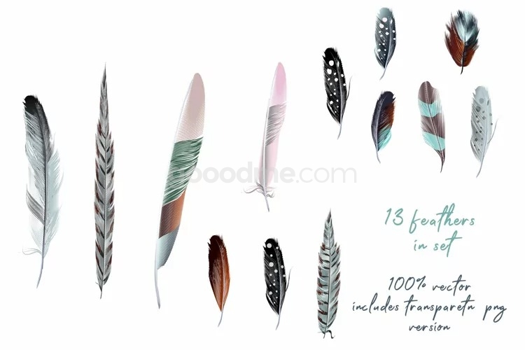 波西米亚风格矢量羽毛手绘插画素材 Bohemian mood vector feathers set