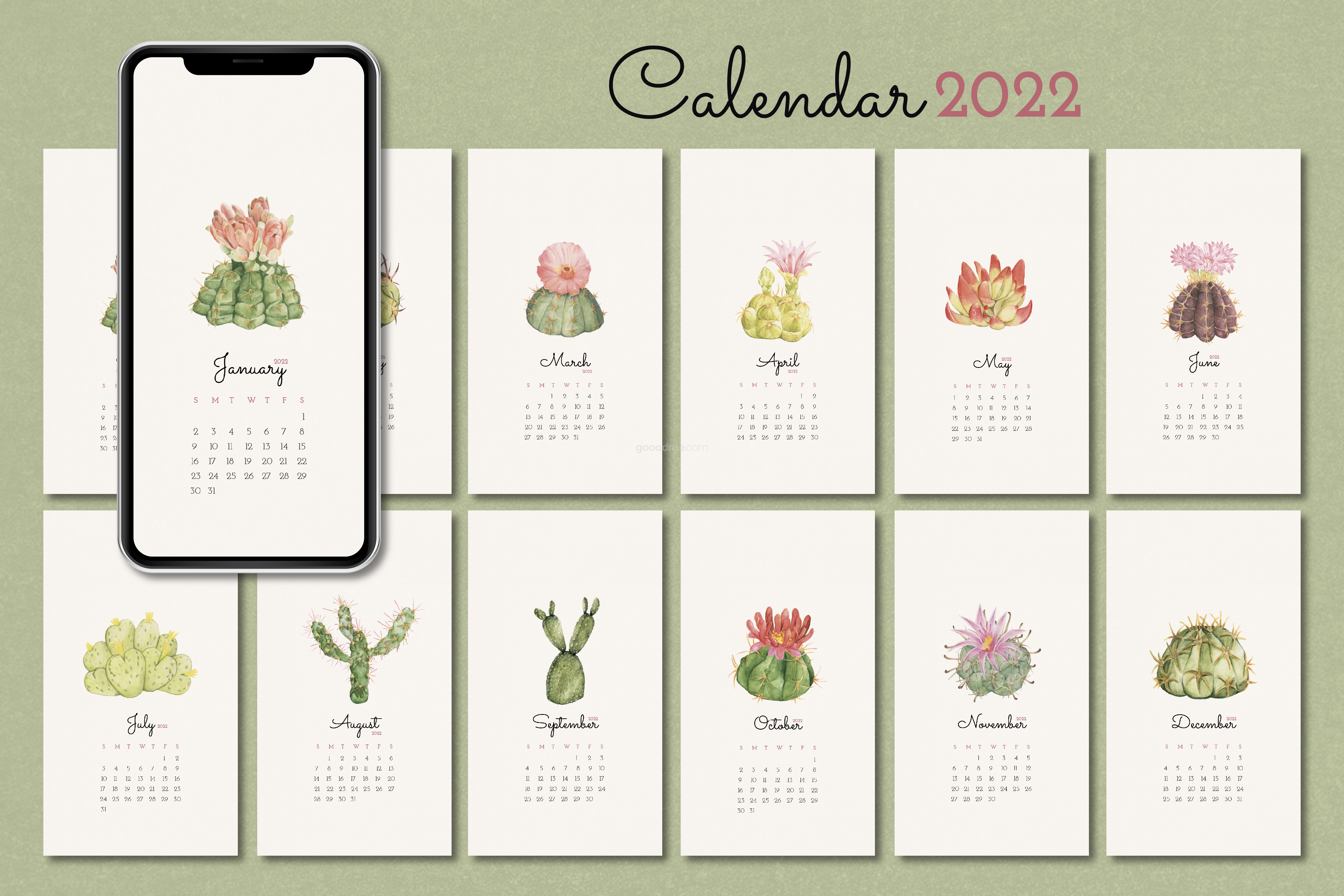785 清新花卉多肉植物2022挂历设计矢量素材模板botanical 2022 monthly calendar template cactus iphone wallpaper vector set