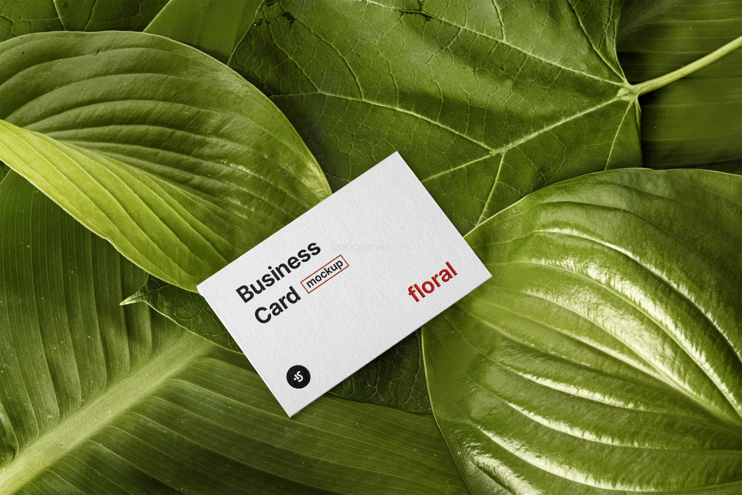 309 可商用植物自然绿色品牌VI设计名片卡片展示PSD样机素材 Business Card Mockup