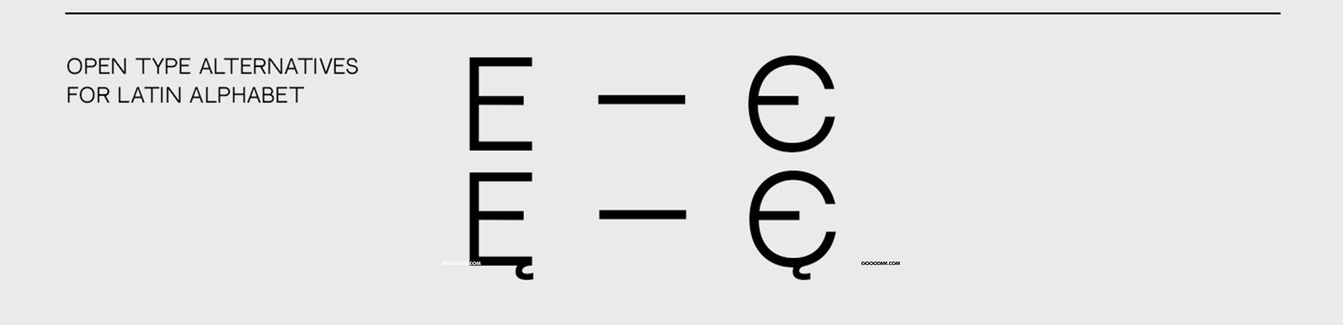 26 简约的印刷体粗衬线字体英文字体–Neutral Face