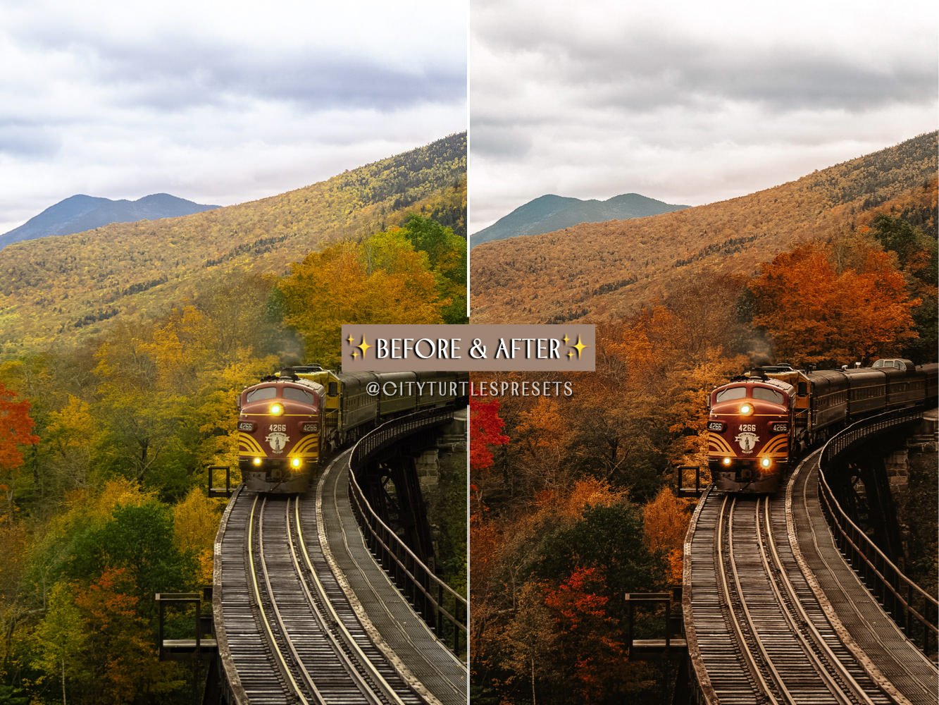 887 8款秋季人像温暖色调Lightroom预设与iphone手机版LR预设 Rustic Fall Moody Lightroom Presets.zip