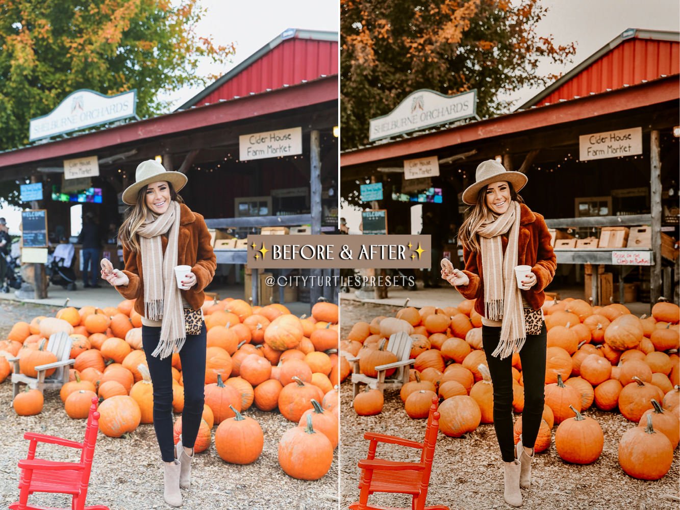 887 8款秋季人像温暖色调Lightroom预设与iphone手机版LR预设 Rustic Fall Moody Lightroom Presets.zip