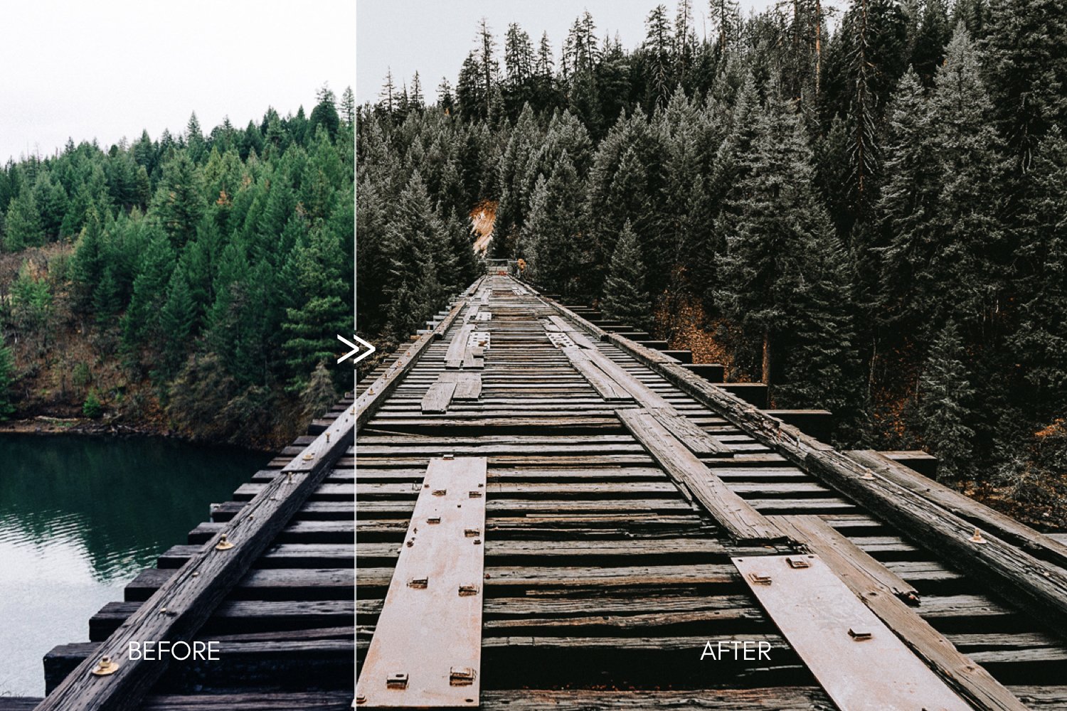 924 森林暖色调色效果Lr预设 PINE Warm Moody Lightroom Presets.zip