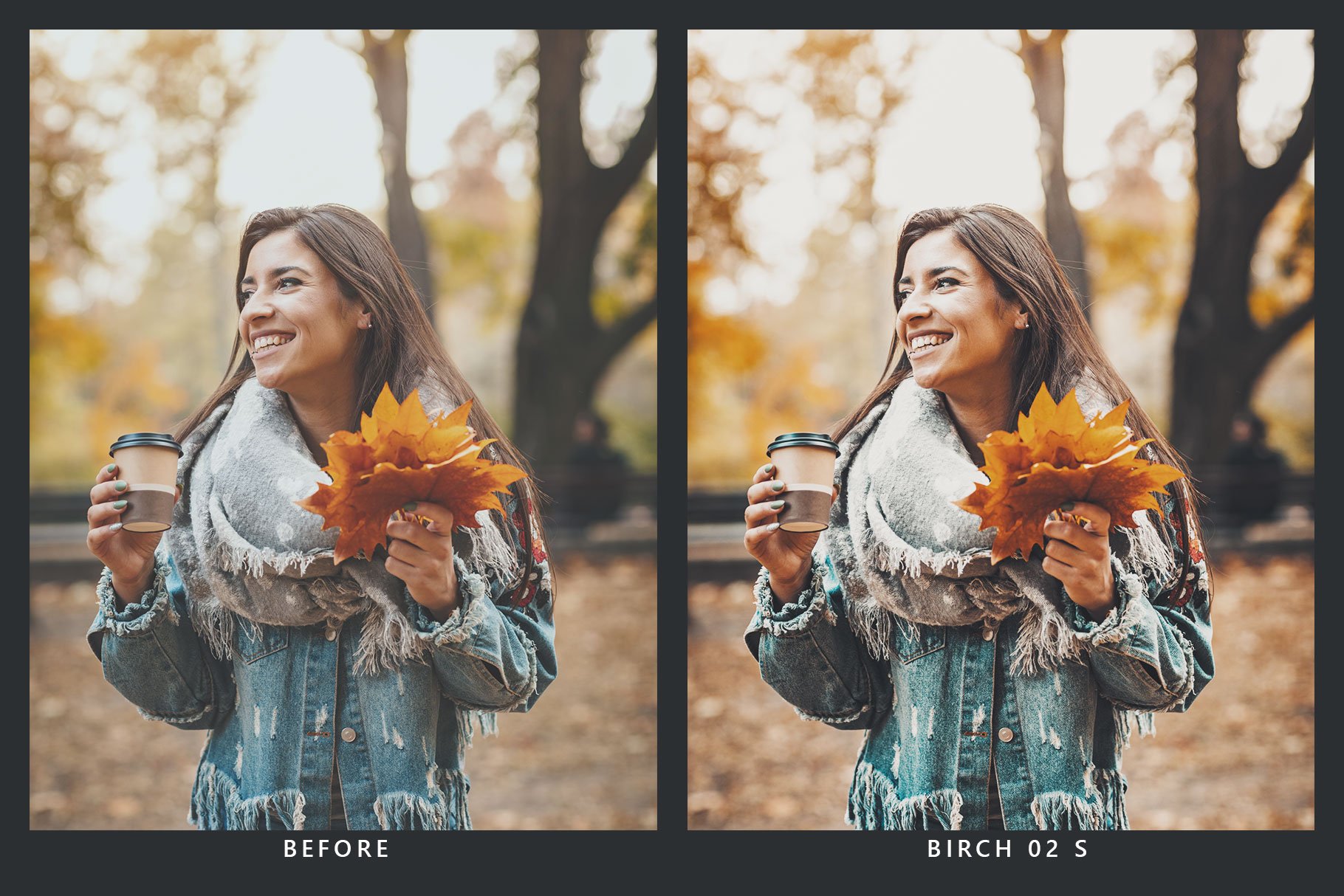 939 20款秋季照片处理LR预设+LUT预设 20 Autumn Lightroom Presets & LUTs.zip