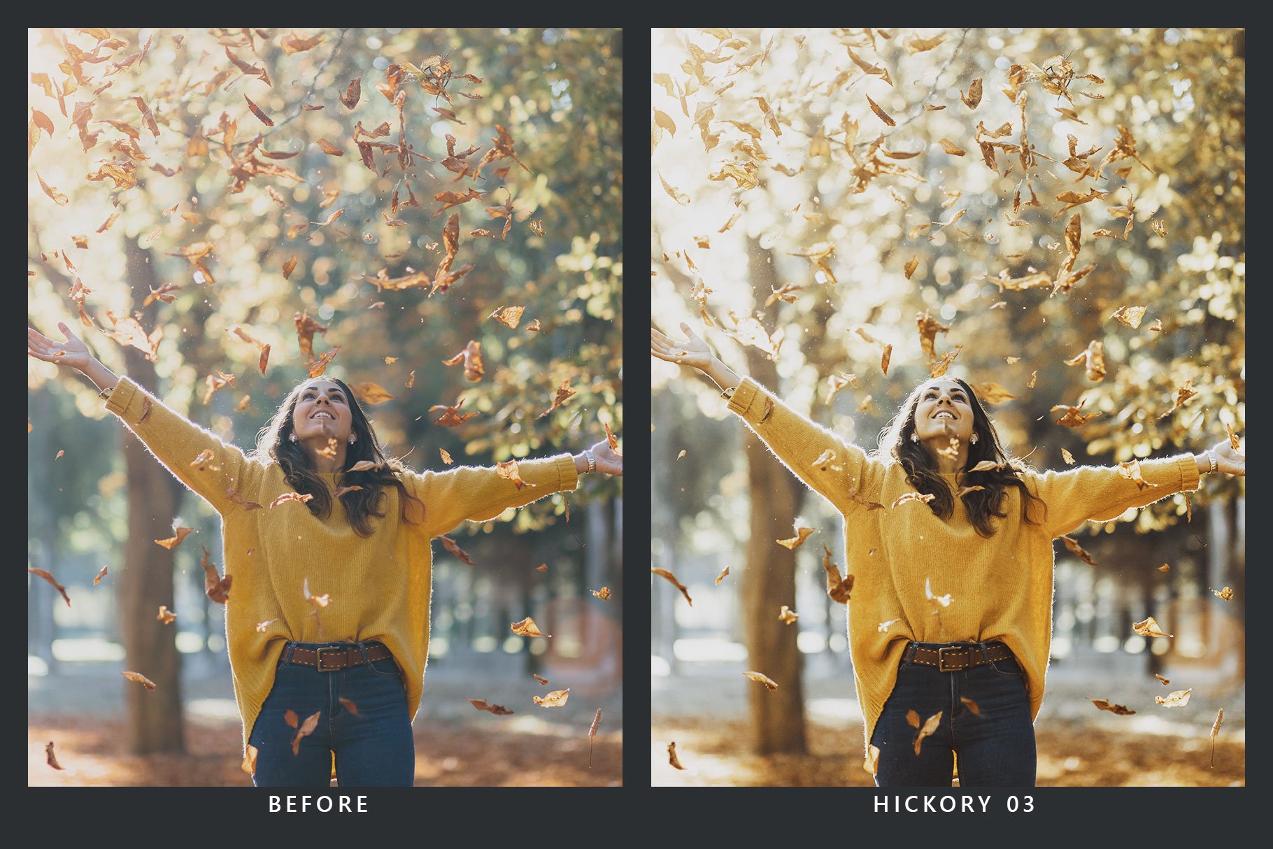 939 20款秋季照片处理LR预设+LUT预设 20 Autumn Lightroom Presets & LUTs.zip