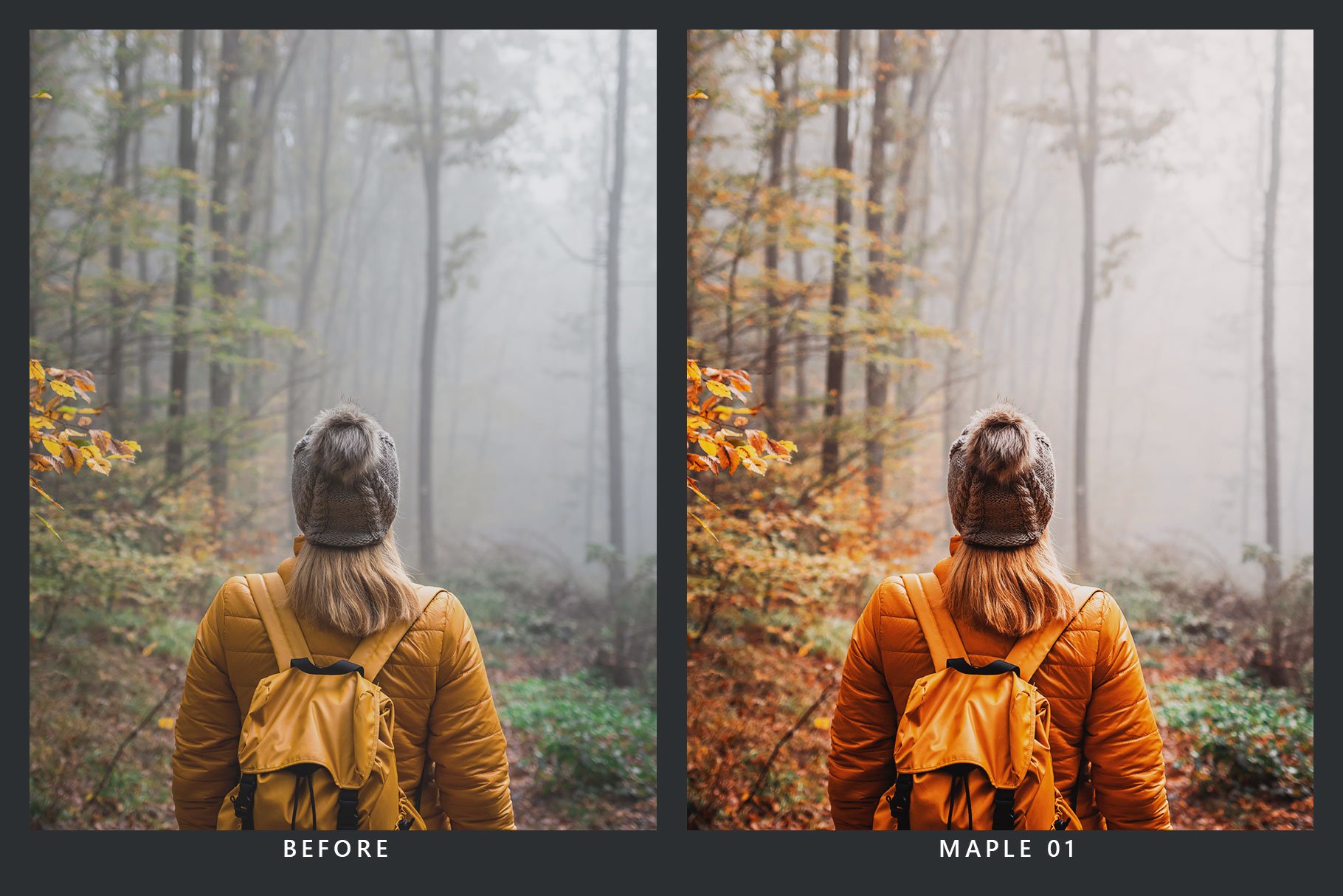 939 20款秋季照片处理LR预设+LUT预设 20 Autumn Lightroom Presets & LUTs.zip