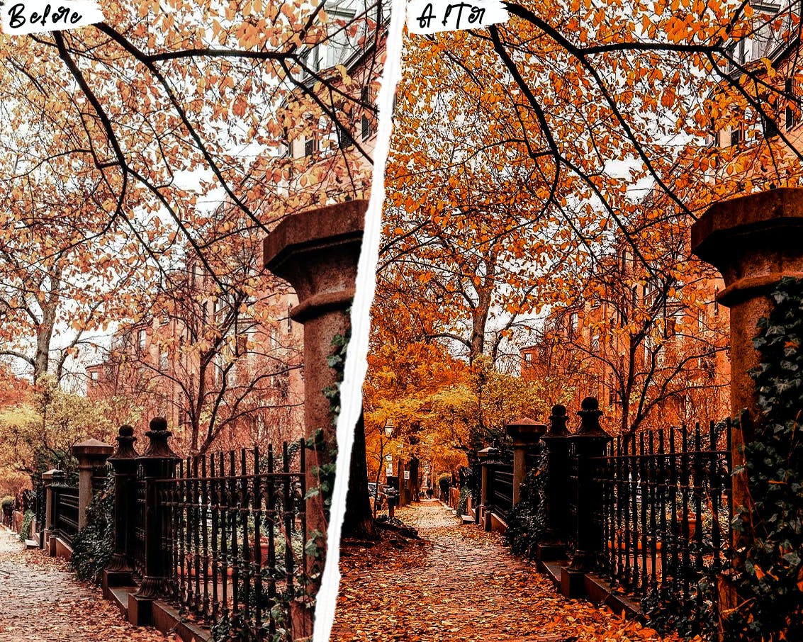 947 秋季金色风景lut预设Fall Photoshop Actions and Lightroom Presets.zip