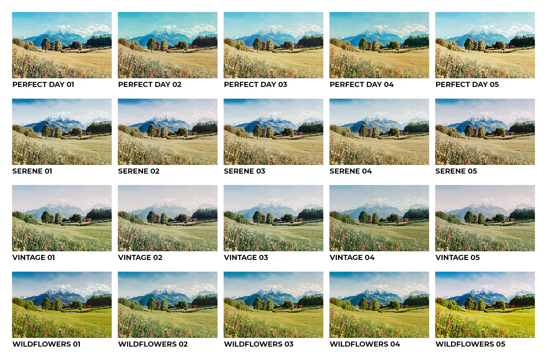 948 20个风景lut预设20 Meadow Lightroom Presets.zip