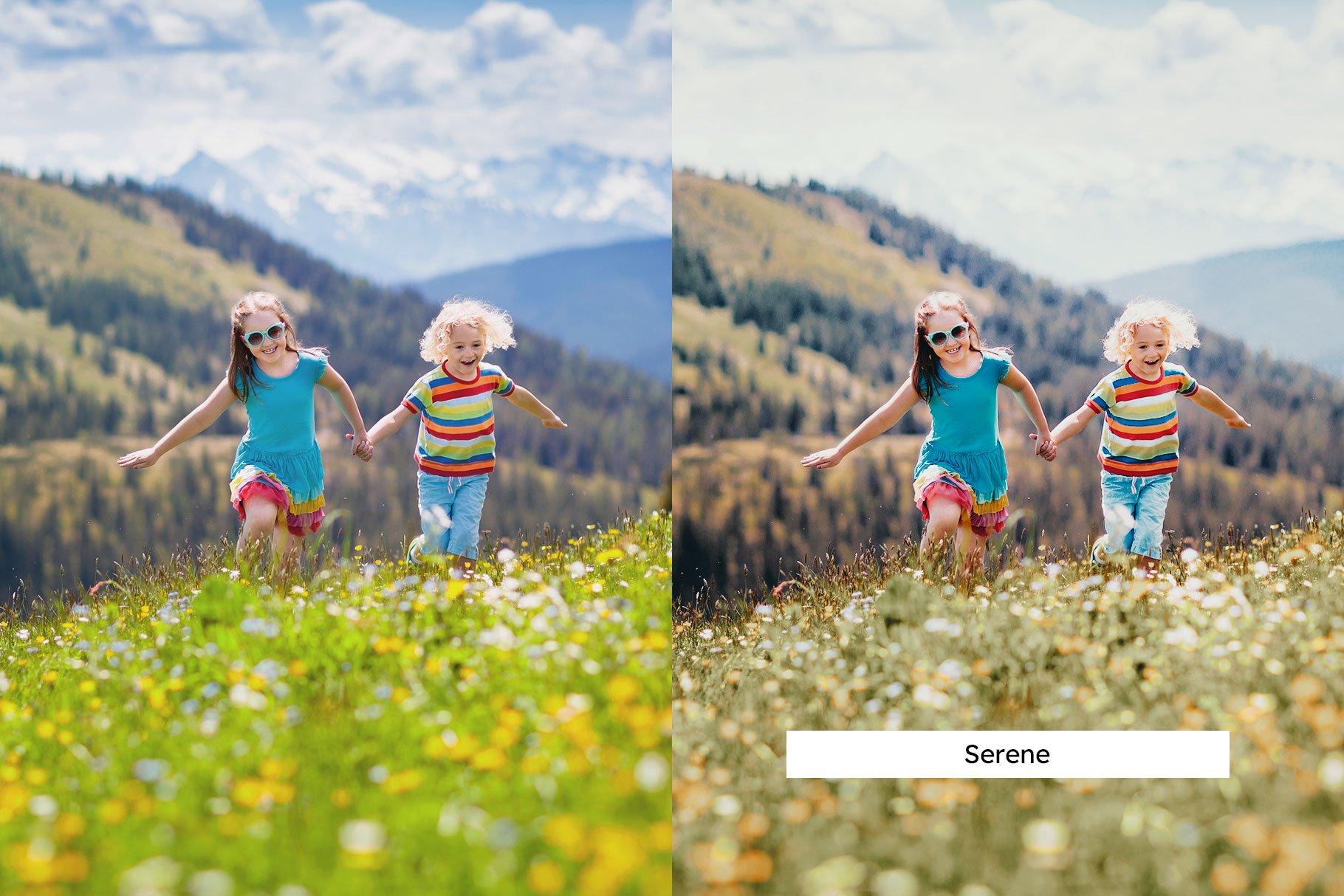 948 20个风景lut预设20 Meadow Lightroom Presets.zip