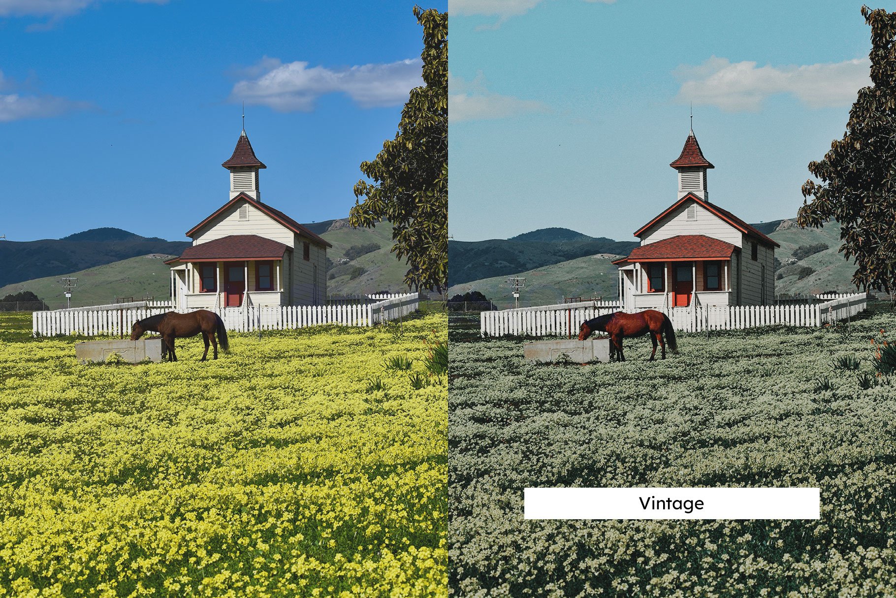 948 20个风景lut预设20 Meadow Lightroom Presets.zip