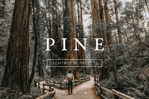 924 森林暖色调色效果Lr预设 PINE Warm Moody Lightroom Presets.zip