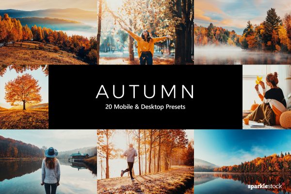 939 20款秋季照片处理LR预设+LUT预设 20 Autumn Lightroom Presets & LUTs.zip