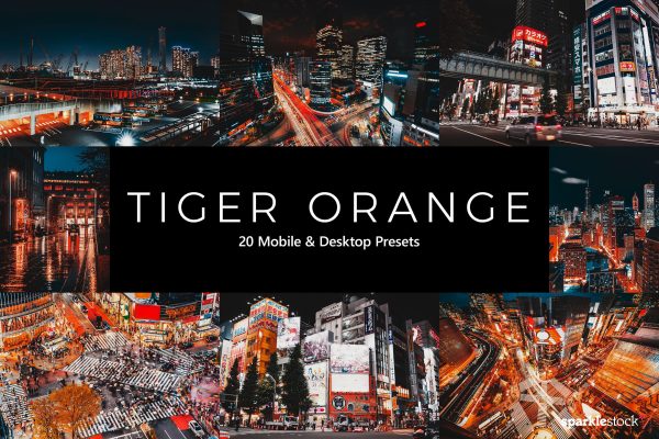 941 20款火红橙色调LR预设+LUT预设 20 Tiger Orange Lightroom Presets & LUTs.zip