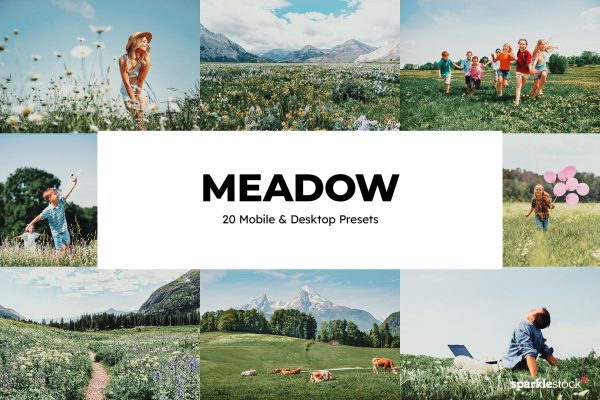 948 20个风景lut预设20 Meadow Lightroom Presets.zip