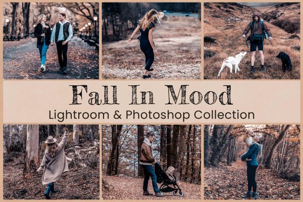 953 秋日户外场景lut预设 Fall In Mood Lightroom PS Presets.zip