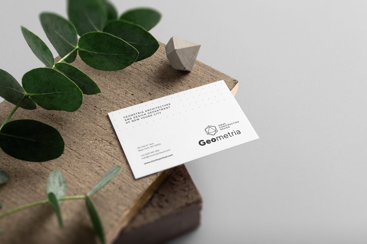 493 可商用高级名片展示样机 Free Business Card Mockup Vol. 5