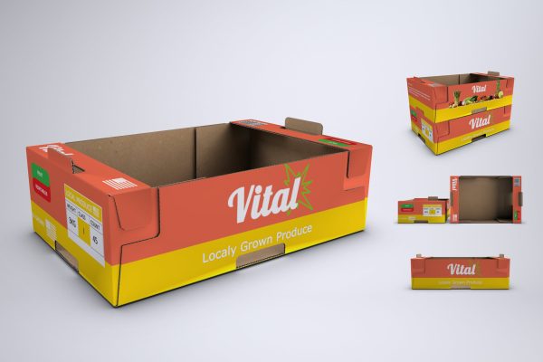 059 生鲜水果包装纸盒PSD样机 Produce Cardboard Tray or Box Mock-Up
