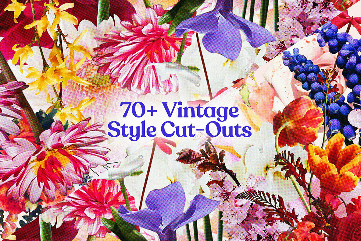 1083 71款高清复古半调颗粒效果花卉插画PNG免扣图片素材 70+ Vintage Floral Cut-Outs