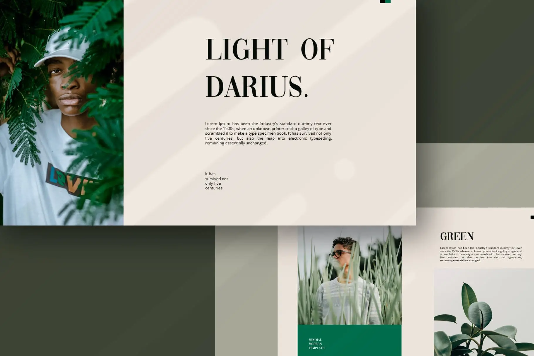 68 摄影工作室PowerPoint演示文稿模板 Darius Powerpoint Template