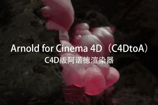 1384 Arnold C4DtoA 阿诺德光线追踪渲染器 C4DtoA 3.3.9 for Cinema 4D R21-R25