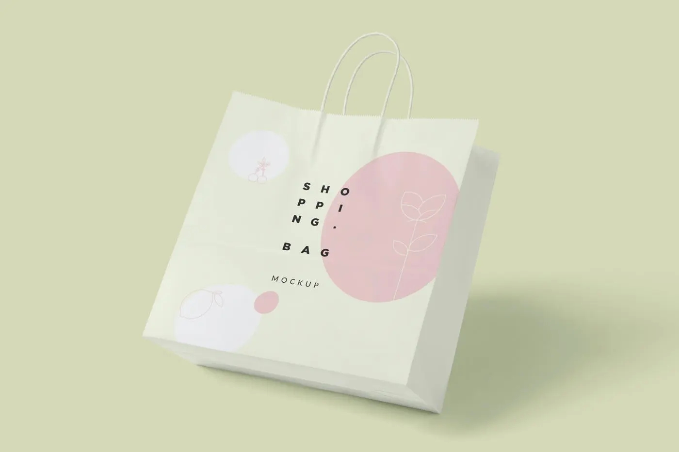 38 6个纸质购物袋外包装设计样机 6-paper-shopping-bag-mockups