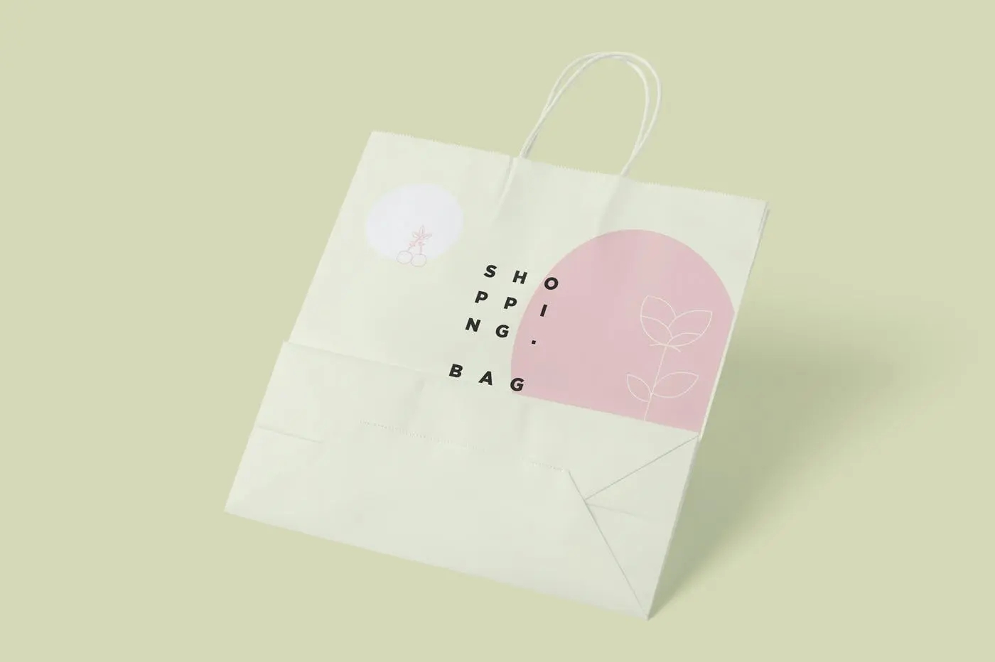 38 6个纸质购物袋外包装设计样机 6-paper-shopping-bag-mockups