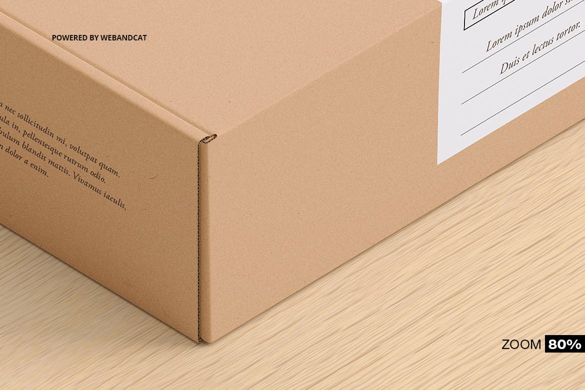 65 高品质时尚快递包装盒纸盒PS样机展示