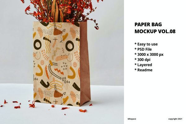 51 牛皮纸袋设计样机模板v8 Paper Bag Mockup Vol.08