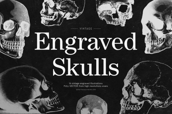 1677 16款手绘骷髅头EPS矢量源文件 Engraved Skulls Illustrations