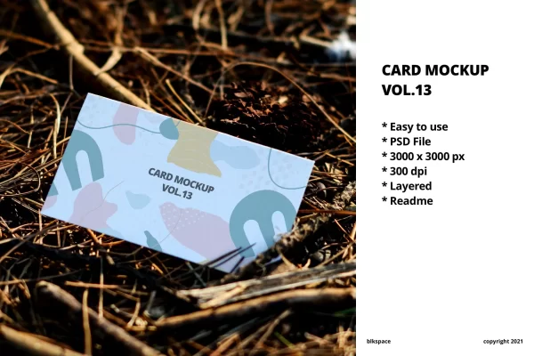 56 鸟窝场景生态农业品牌展示名片样机模板v13 Card Mockup Vol
