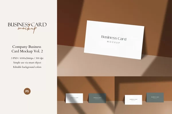 60 阴影效果企业卡片品牌名片效果图样机v2 Company Business Card Mockup Vol