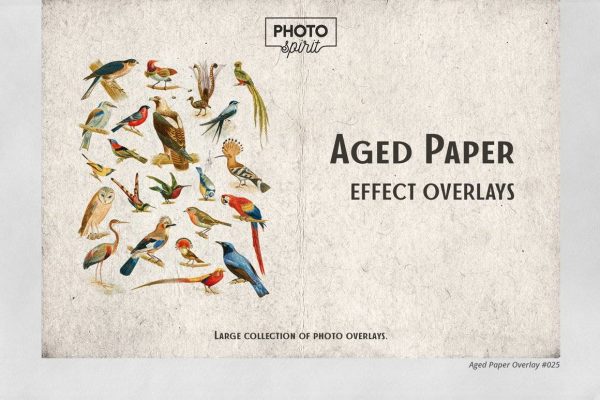2089 30款旧纸张背景照片效果叠加素材Aged Paper Effect Overlays