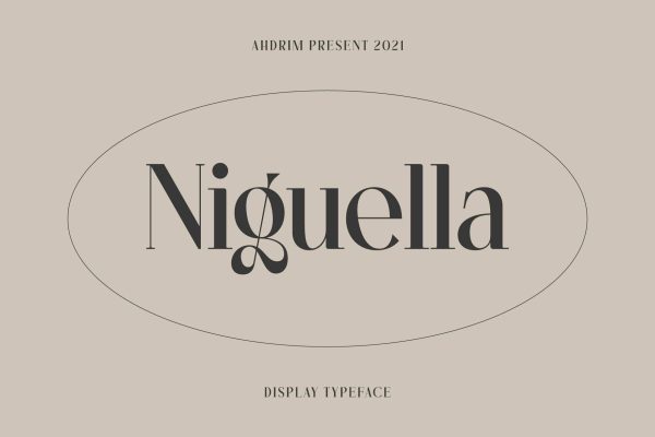 2386 Niguella现代优雅艺术英文衬线字体 Niguella – Modern Serif Font