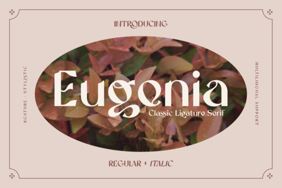 2422 时尚品牌艺术优雅英文衬线装饰字体  Eugenia Fuente