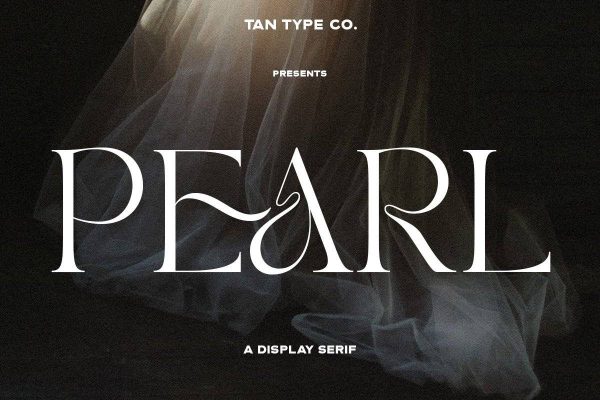 2587 俏皮优雅英文酸性艺术衬线字体 TAN – PEARL