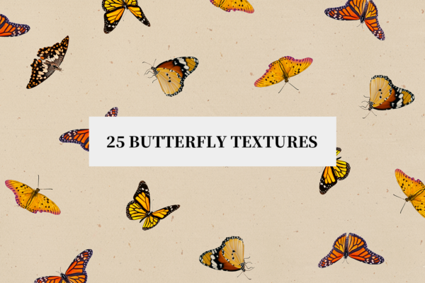 3229 25个蝴蝶拼贴纸纹理图案JPG素材 25 Butterfly Textures