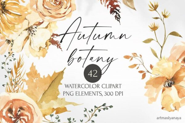 3239 42款水彩手绘花卉PNG免抠素材 Watercolor Autumn flower botanics clipart