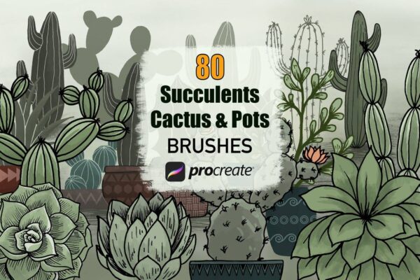 3486 80种仙人掌多肉植物和花盆Procreate软件笔刷 Cactus Succulents and Pots – Procreate Brushes