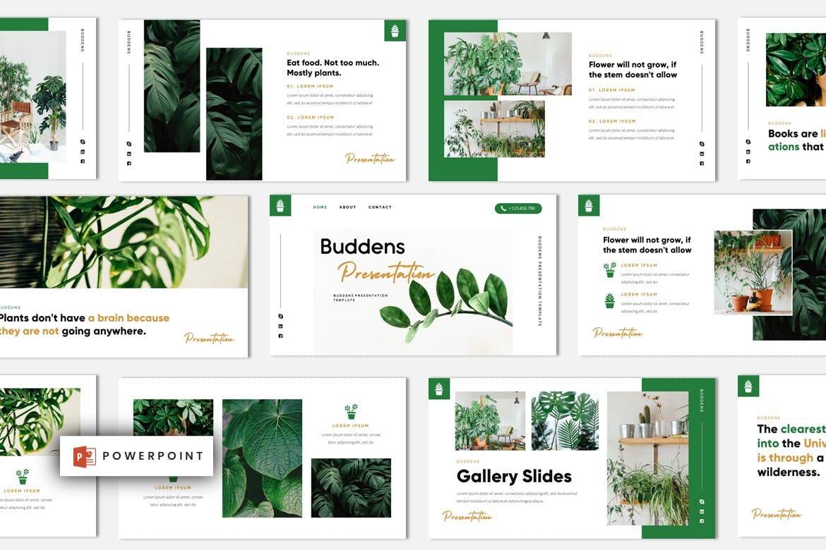 3808 现代极简主义热带绿植创意作品集PPT模板 Buddens – Minimalism Tropical Powerpoint ...