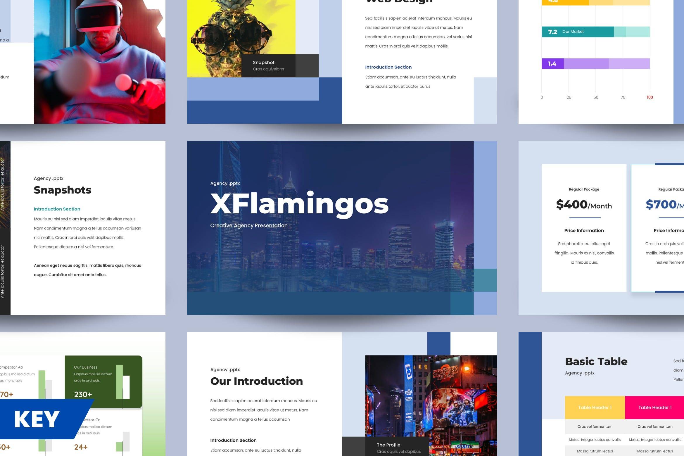 3391 数字创意数据营销投资商业计划Keynote模板 XFLAMINGOS – Creative Agency Presentation 001