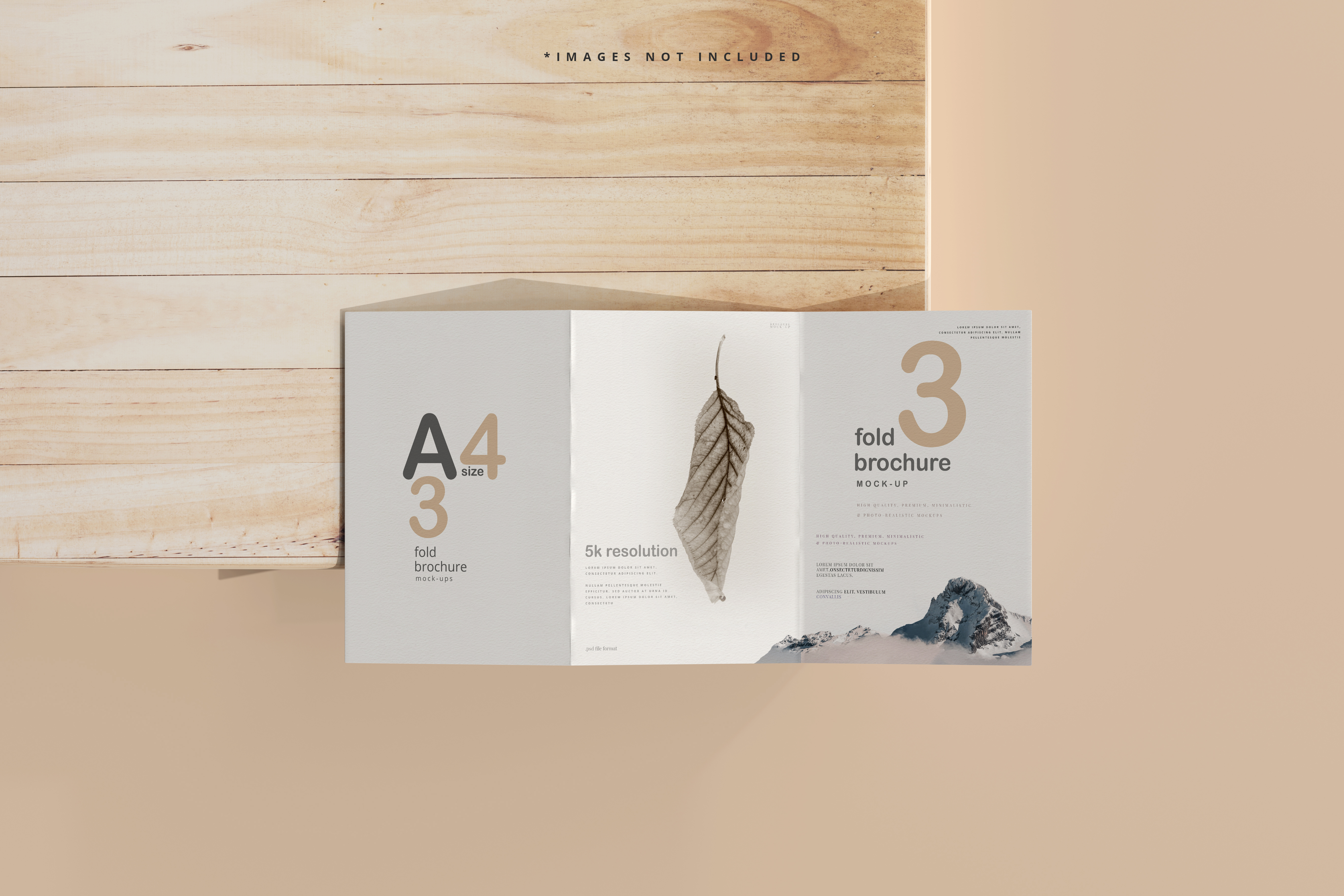 9款逼真A4三折页小册子设计贴图样机 A4 Size Four Fold Brochure Mockup